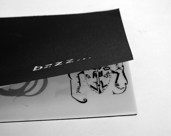 Livre d'artiste. Bzzz... Insectes et typographie. © Florence Boudet