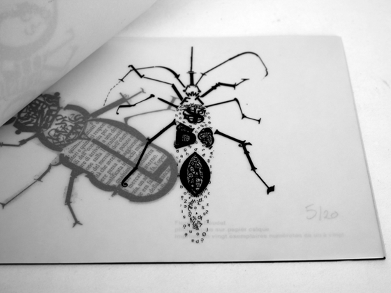 Livre d'artiste. Bzzz... Insectes et typographie. © Florence Boudet