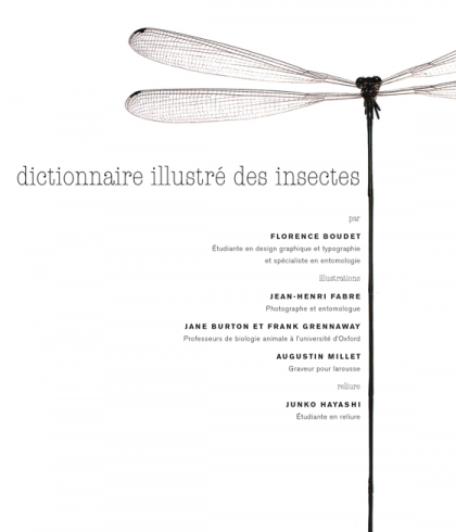 Maquette dictionnaire des insectes. © Florence Boudet