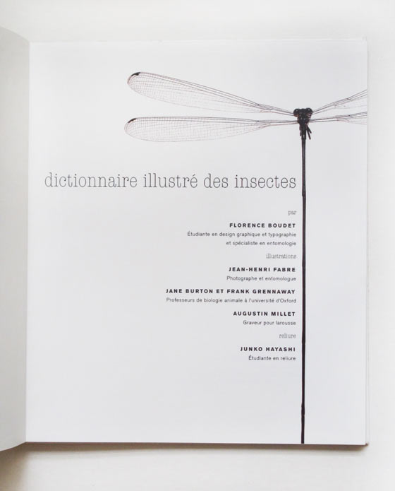 Maquette dictionnaire des insectes. © Florence Boudet