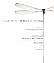 cou_dico_insectes