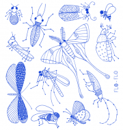 insetti_blu