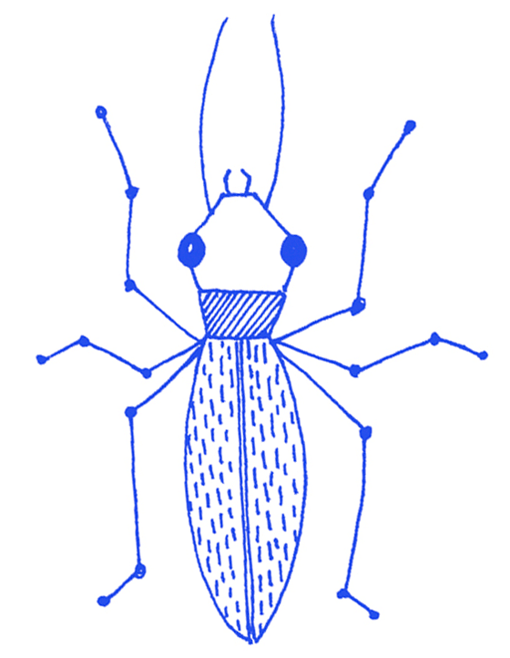 Florence Boudet - FLO-FLO - insect - cockroach - blue - leg - antennaes -animation - gif animated - crawler - beatle - drawing - graphic - movement