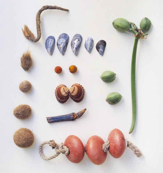 Florence Boudet - FLO-FLO - remains - traces - clams - mussels - collection - seashell - plants - shore - sea - beach - summer - crab