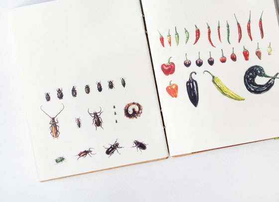 from_china_with_love_2 Florence Boudet - FLO-FLO - gift - pepper - bugs - chinese - china - paper - notebook - goodies - insect - nature - vegetable