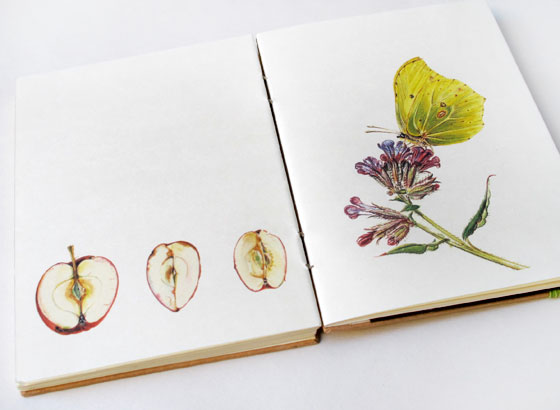 from_china_with_love_3 Florence Boudet - FLO-FLO - gift - apple - butterfly - chinese - china - paper - notebook - goodies - insect - nature - fruit - flower
