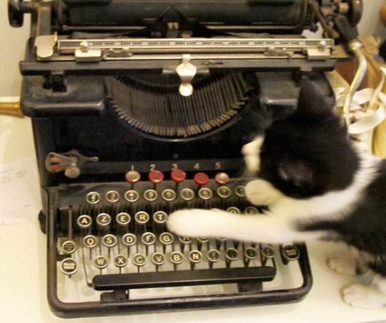 remington Florence Boudet - FLO-FLO - cat - kitten - female - cute - tuxedo cat - mask and mantle cat - bicolor - typewriter - remington