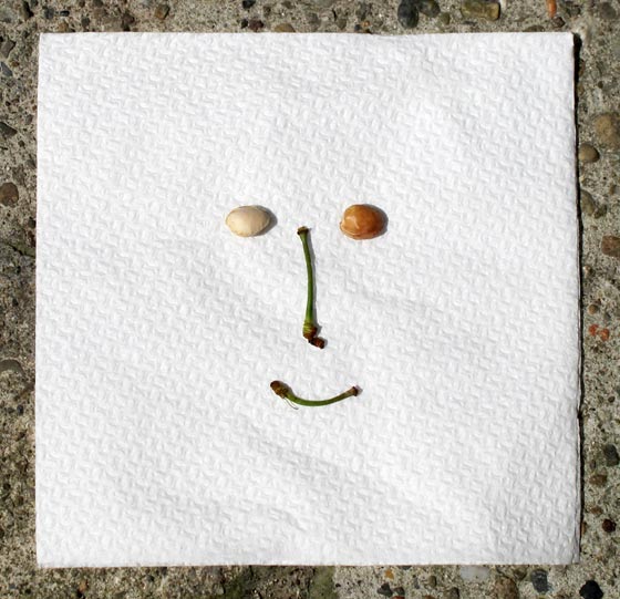 cherries - cherry stem - cherry pits - face - napkin - Florence boudet - FLO-FLO - may - spring